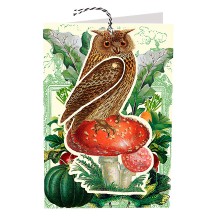 Owl on Mushroom Card ~ England